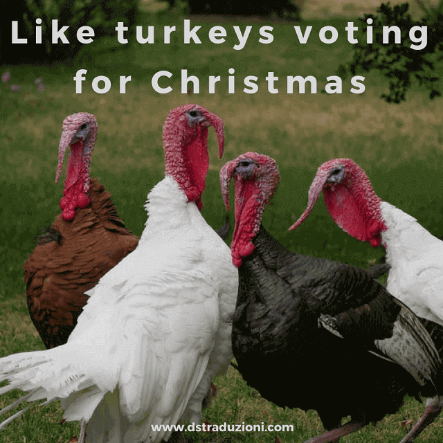 turkeys-voting-for-chrismas